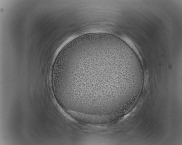 X0000082691197200702091649