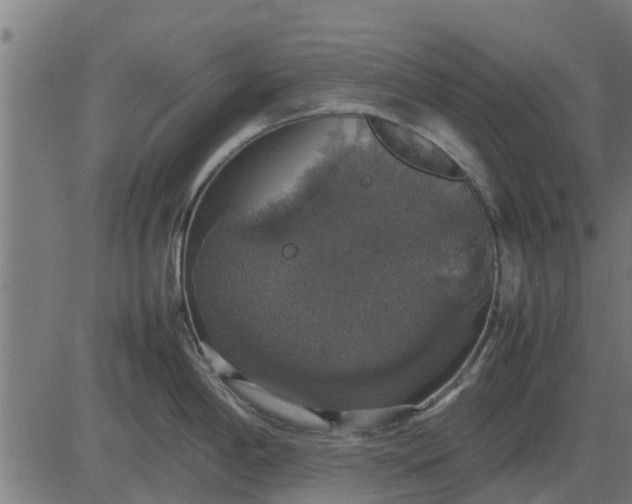 X0000082691198200702091649