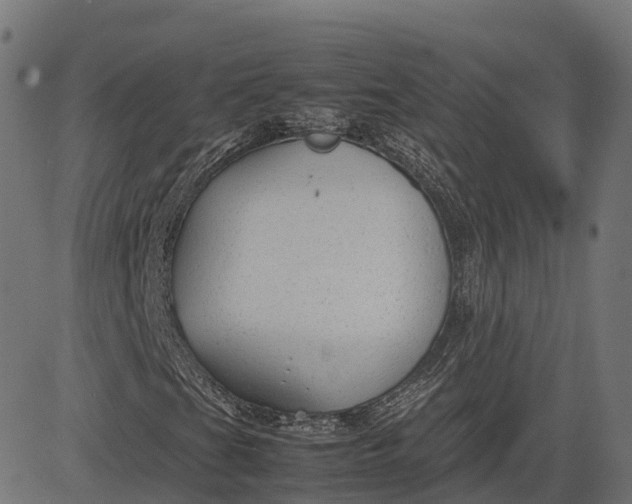 X0000082691201200702091648