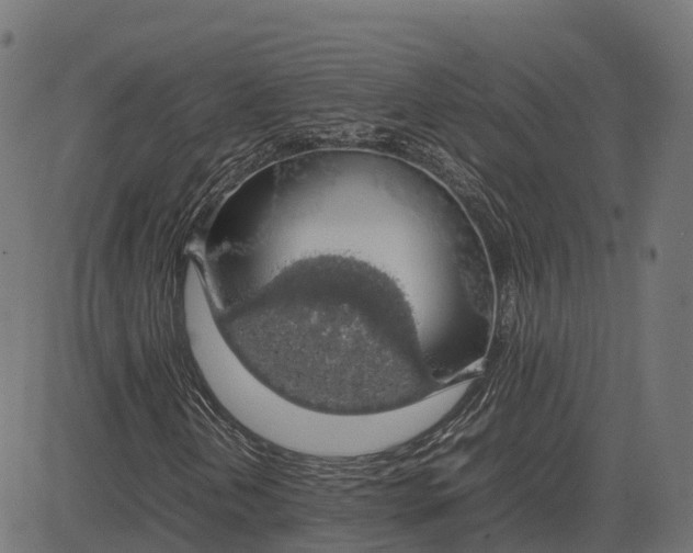 X0000082691202200702091649