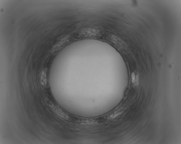 X0000082691203200702091649