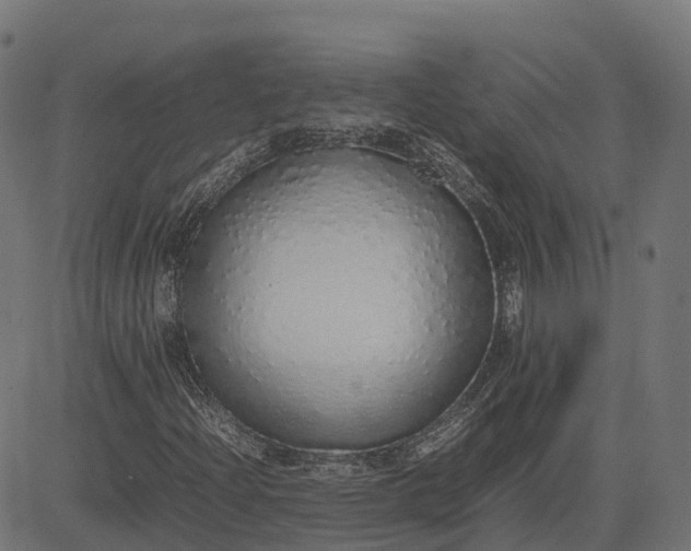 X0000082691204200702091649