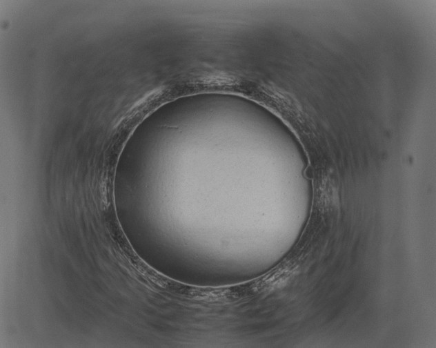 X0000082691205200702091649