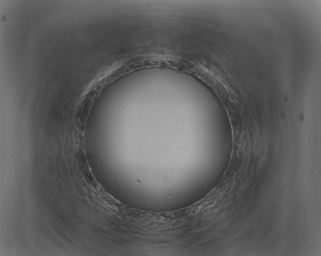 X0000082691207200702091649