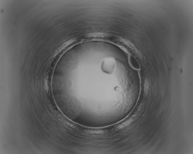 X0000082691209200702091649