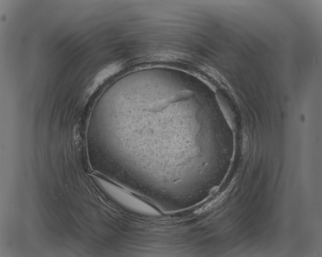 X0000082691210200702091649