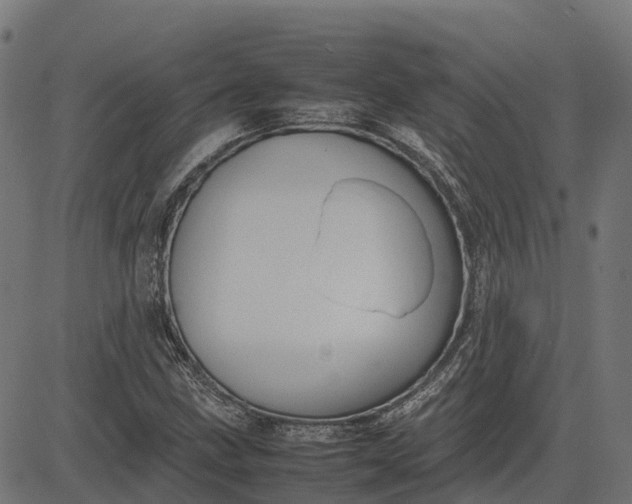 X0000082691211200702091649