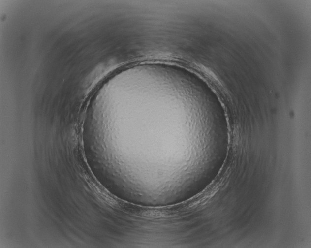 X0000082691212200702091649