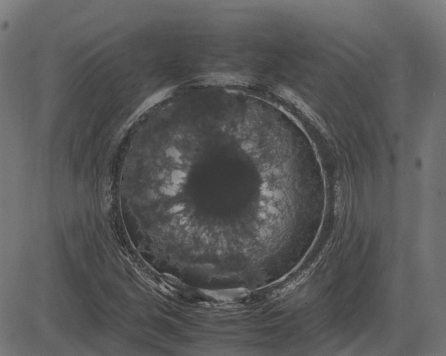 X0000082691213200702091649