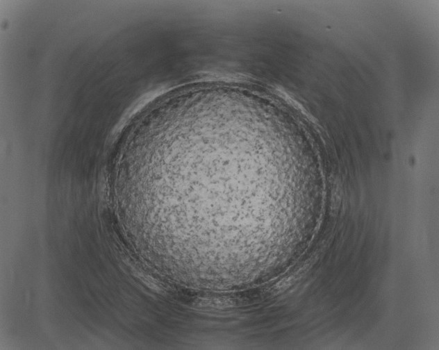 X0000082691215200702091649