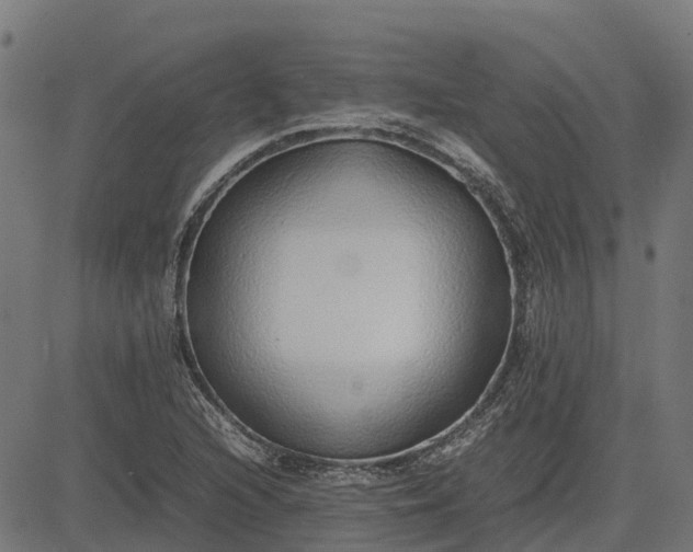 X0000082691216200702091649