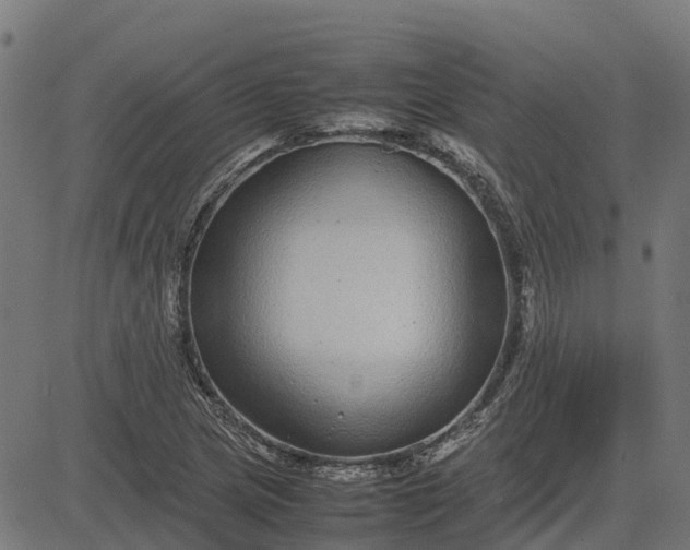 X0000082691217200702091649