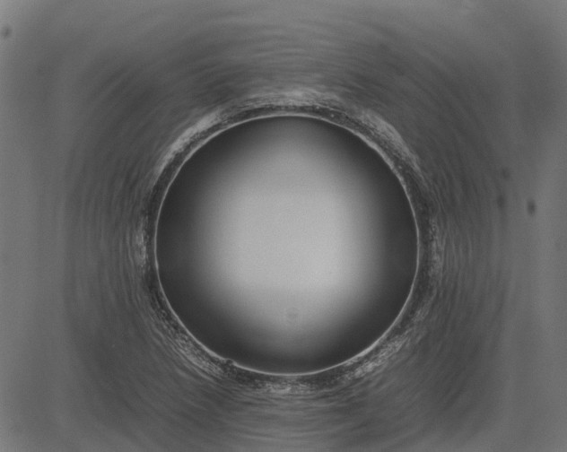 X0000082691218200702091649