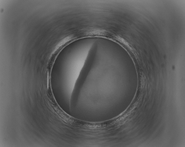 X0000082691219200702091649