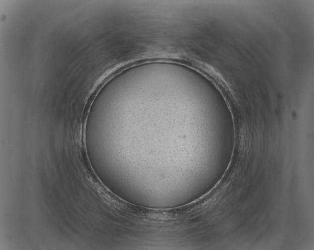 X0000082691220200702091649