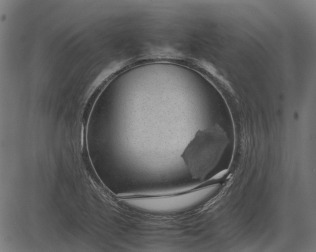 X0000082691221200702091649