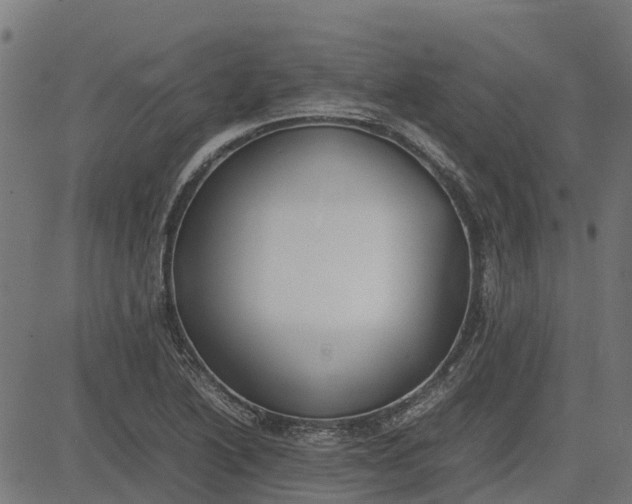 X0000082691222200702091649