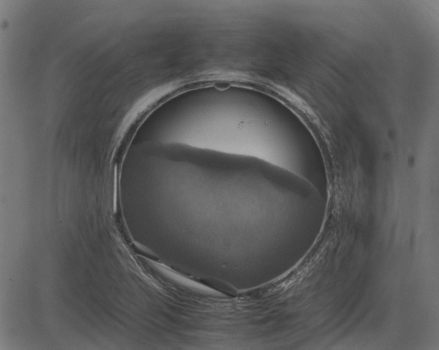 X0000082691223200702091649