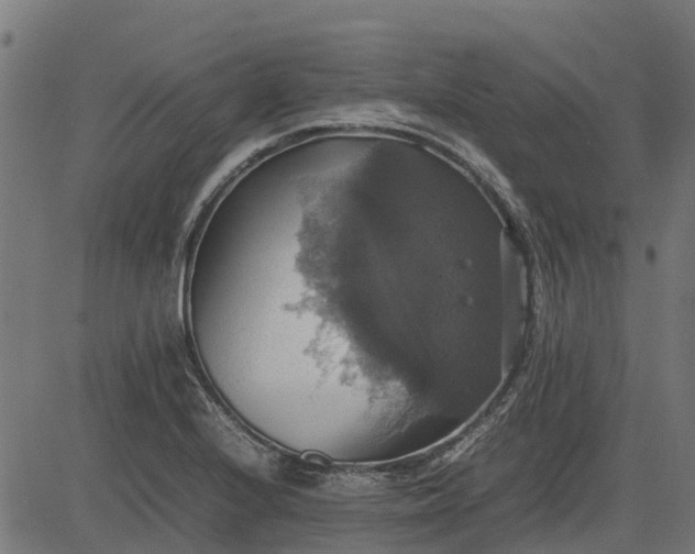 X0000082691224200702091649