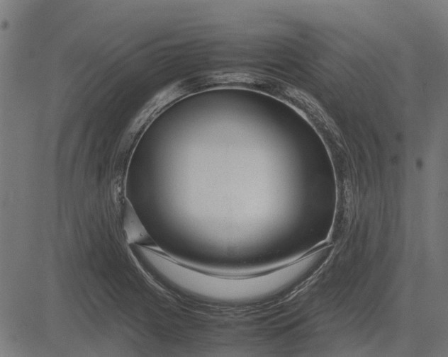 X0000082691225200702091649