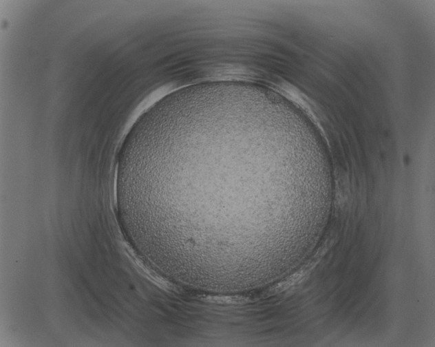 X0000082691227200702091649