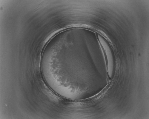 X0000082691228200702091649