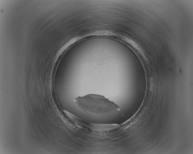 X0000082691229200702091649