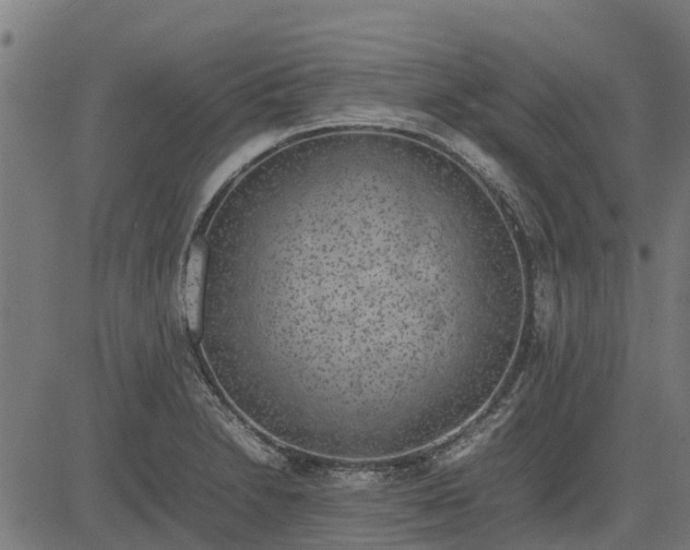 X0000082691230200702091649