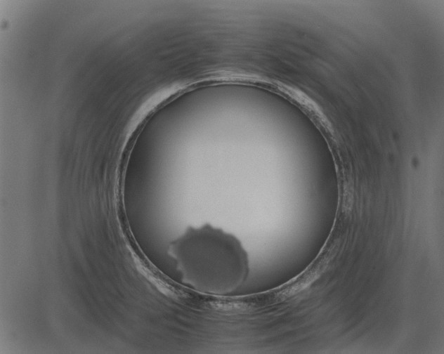 X0000082691231200702091649