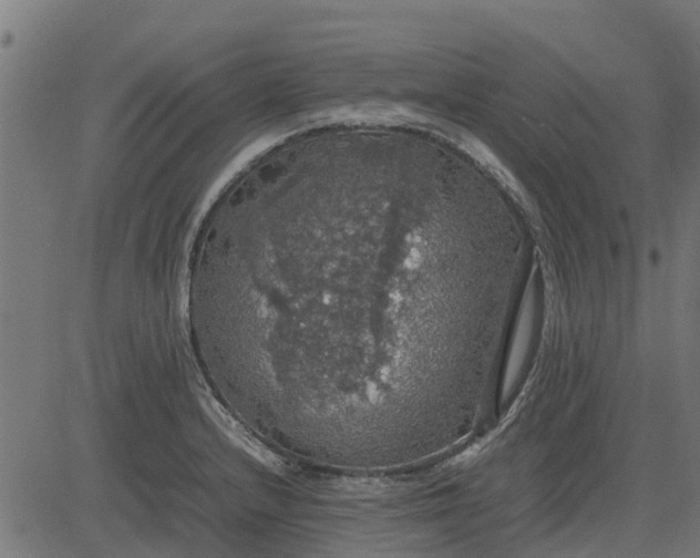 X0000082691232200702091649