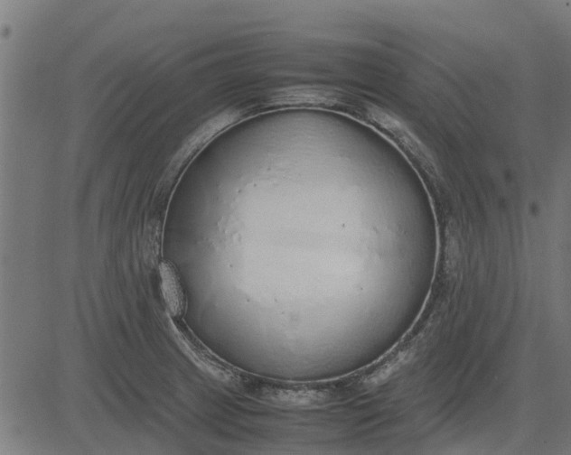 X0000082691233200702091649