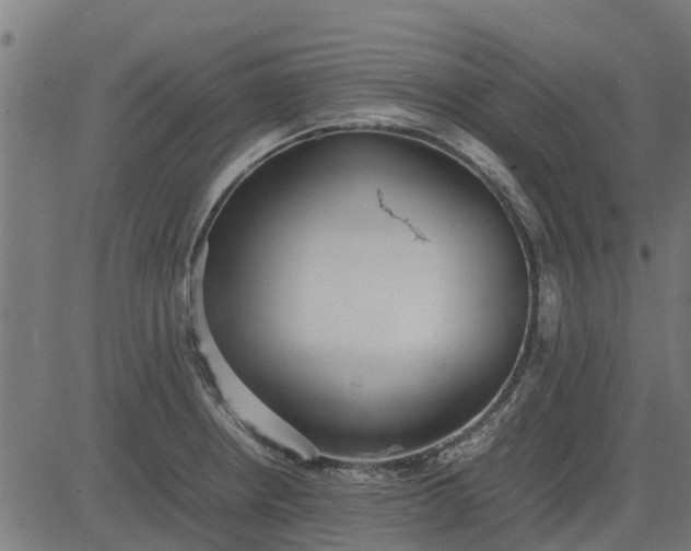 X0000082691234200702091649