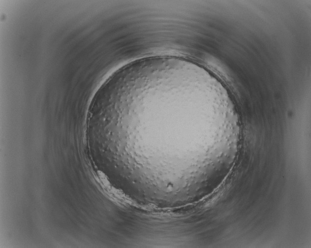 X0000082691236200702091649