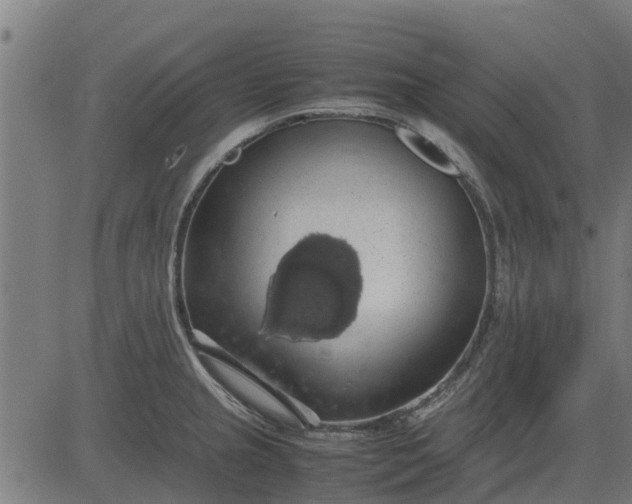 X0000082691237200702091649