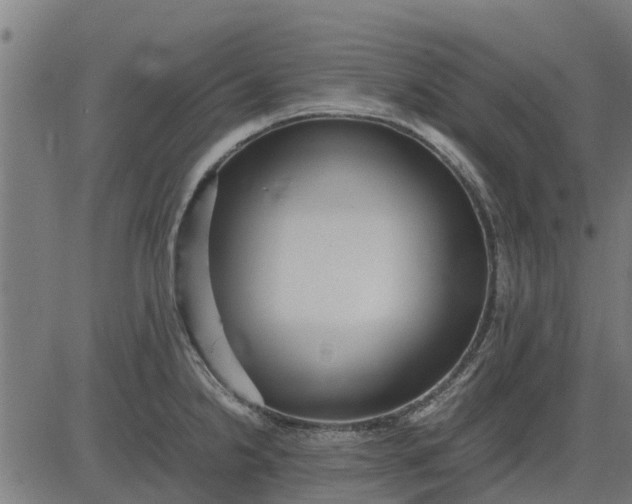 X0000082691238200702091649