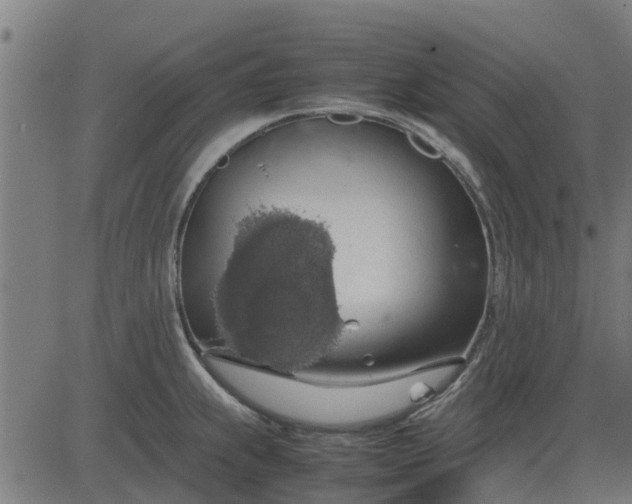 X0000082691239200702091649