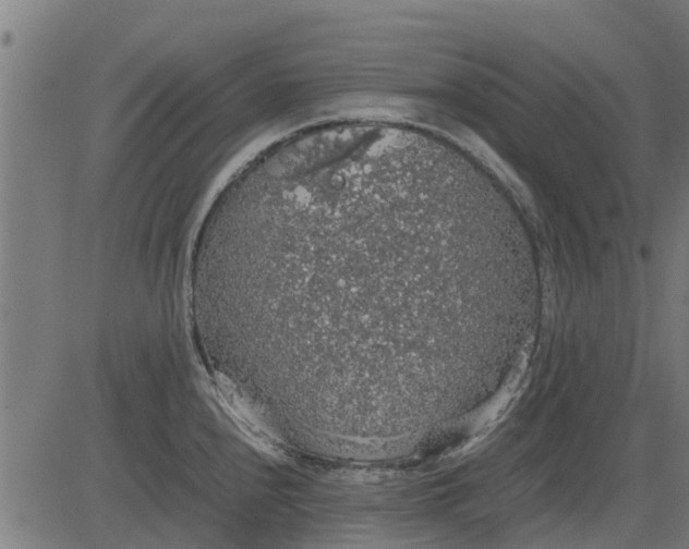 X0000082691240200702091649