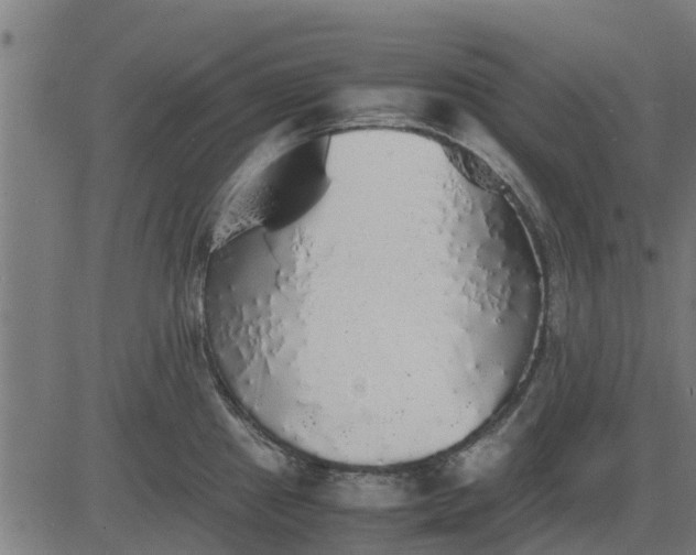 X0000082691241200702091649