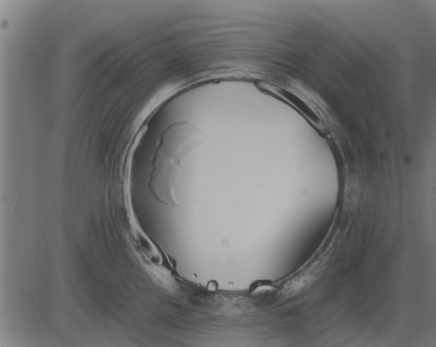 X0000082691242200702091649