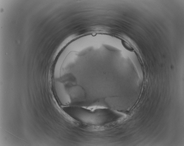 X0000082691243200702091649