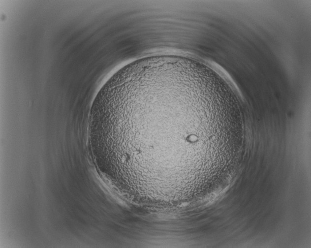 X0000082691244200702091649