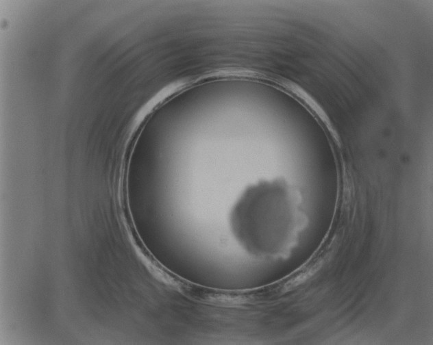 X0000082691245200702091649