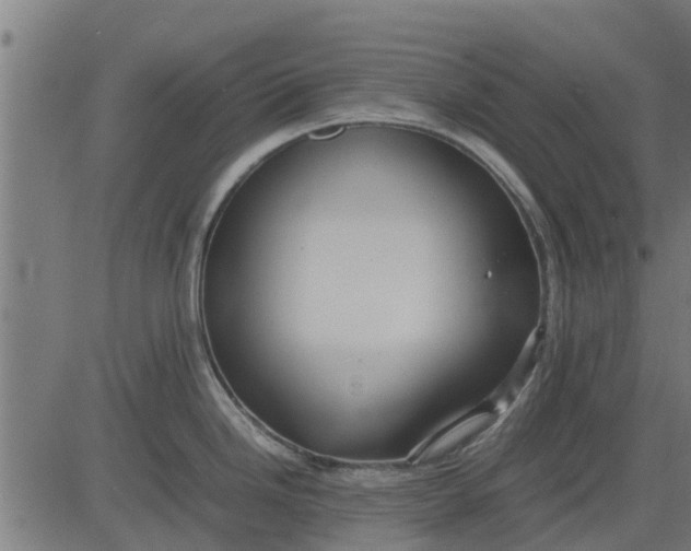 X0000082691246200702091649