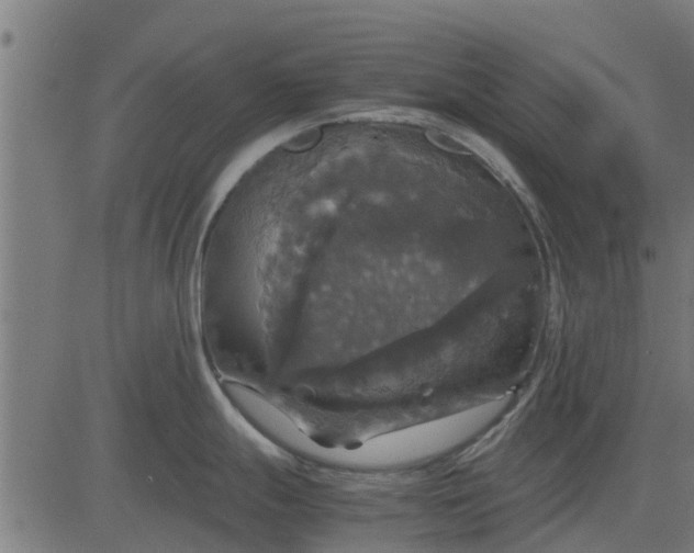 X0000082691247200702091649