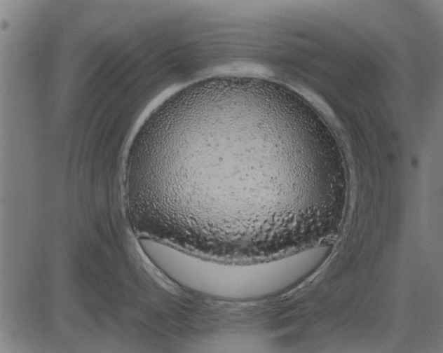 X0000082691248200702091649