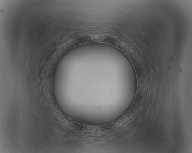 X0000082691249200702091648