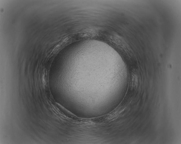 X0000082691250200702091648