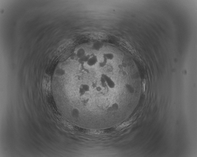 X0000082691251200702091648