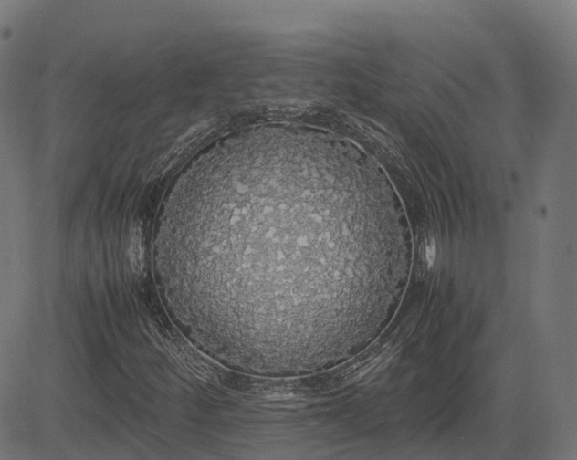 X0000082691252200702091648