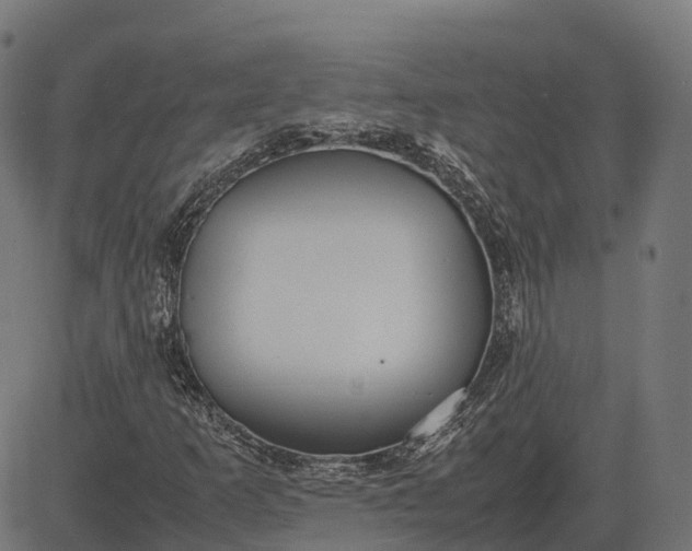 X0000082691253200702091648